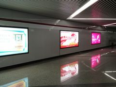 -上海游泳馆(地铁站)