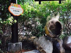 -秀妈厨房(灰汤老店)