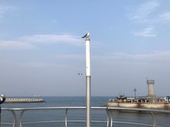 -东港音乐喷泉广场