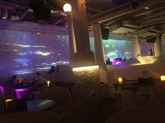 -CLUB VIVA(购物公园店)