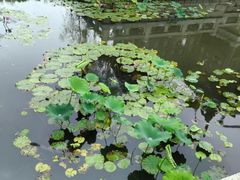-厦门园林博览苑