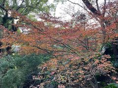 -乌山风景区