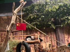 -泉州海丝野生动物世界