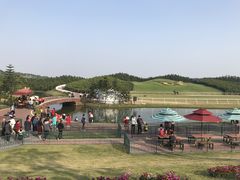 -迪茵湖田家舍生态农场