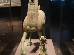 -广西壮族自治区博物馆