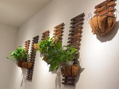 -7017浙菜•建德味(市心北路店)