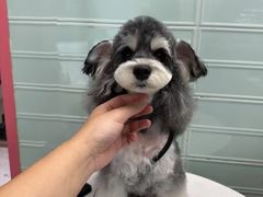 -FAELING PETS美天灵宠物(合生汇店)