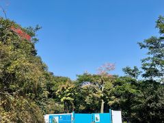-阳台山森林公园