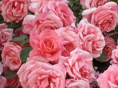 -下沉广场(羊坊店街道)