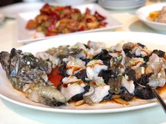 古法蒸老虎斑-利苑酒家(金宝店)