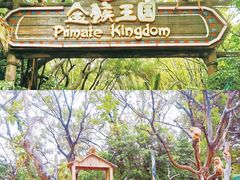 -广州长隆野生动物世界