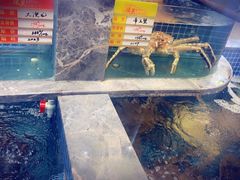 水产区-骏莱海鲜鱼港(五角场店)
