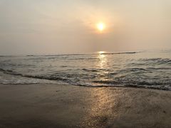 -黄金海岸