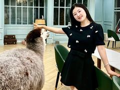 -安格丽娜·狗咖·猫咖羊驼咖(春熙路百盛商场店)