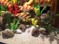 -阳光岛·海鲜盛宴(银泰中心in99店)