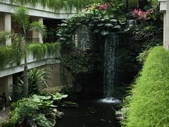 -广州白天鹅宾馆