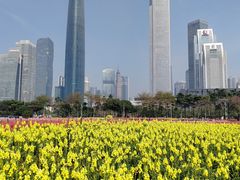 -海心沙亚运公园