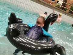 -南宫温泉水世界