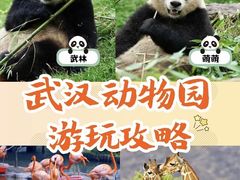 -武汉动物园
