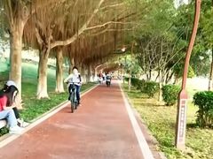 -鹤之洲湿地公园