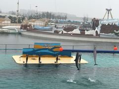 -秦皇岛乐岛海洋王国