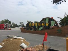 -北海金海湾红树林生态旅游区