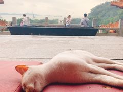 -南沙天后宫景区