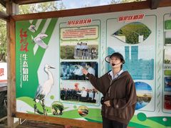 -北海金海湾红树林生态旅游区