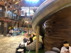 -卡通尼·Safari非洲探索乐园·生日会(金桥国际商业广场店)