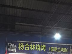 -杨合林啊兰烤鱼