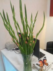 android_upload_pic-咪咪专业脱毛连锁机构