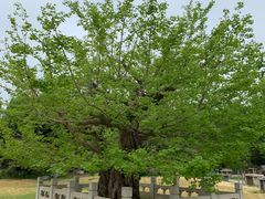 -北京植物园-展览温室