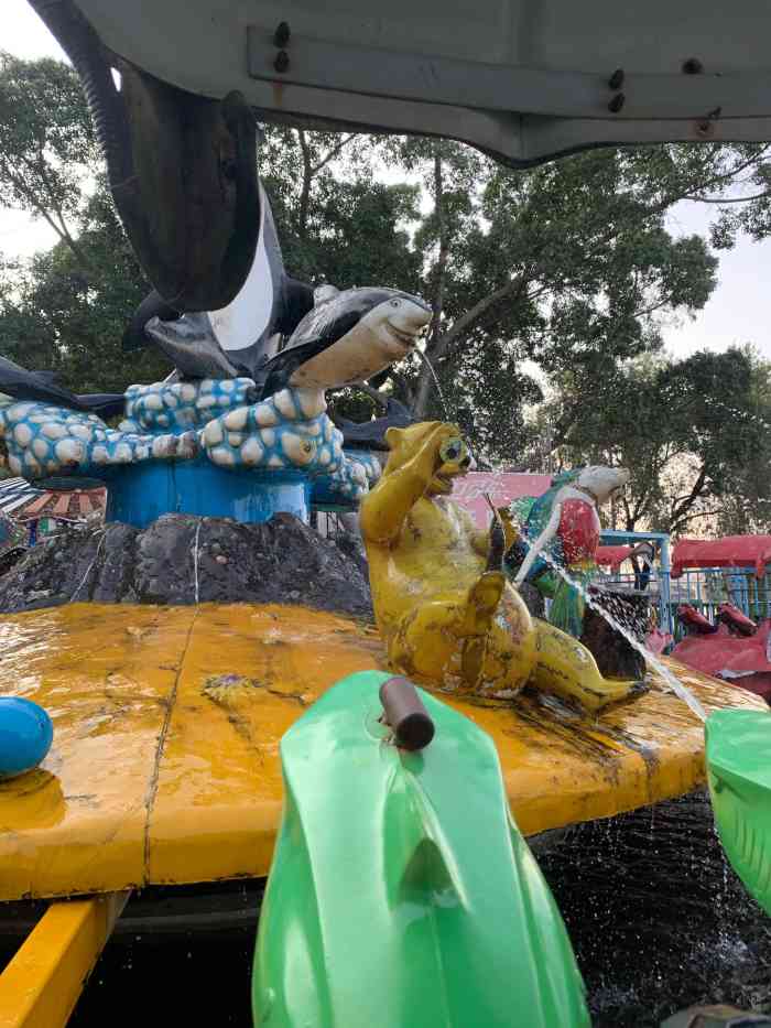 "-大众点评移动版