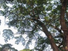 -桂林独秀峰王城景区