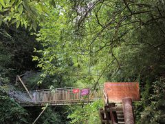 -西岭雪山大飞水景区