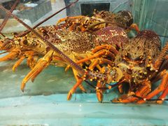 -海逸海鲜酒家(古北店)