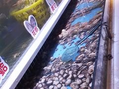 -聚盛源蒸汽海鲜火锅烤肉自助(巨川金海岸购物广场店)