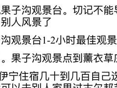 -果子沟大桥