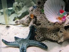 -太平洋海底世界