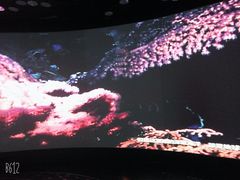 -同济大学四平路校区深海探索馆