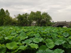 -高子水居