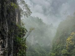 -鹿院坪生态旅游景区