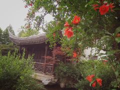 -尚贤河湿地