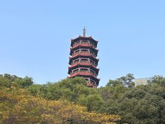 -红花山公园