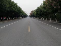 -大湾区中央湿地公园