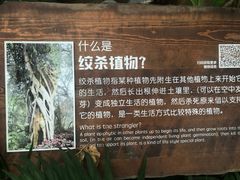 -南宫五洲植物乐园