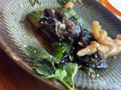 -龙悦湾酒家·八阵鱼生·渔人码头店