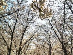 -龙美术馆(西岸馆)