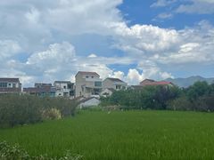 -余氏豆腐包老店(东直街店)