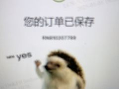 -TESLA 特斯拉(北京颐堤港体验店)